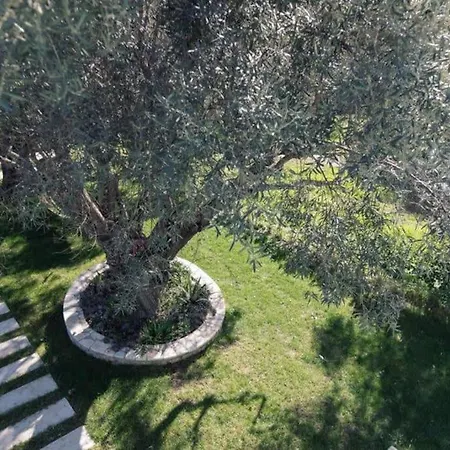 Villa Asprolia *